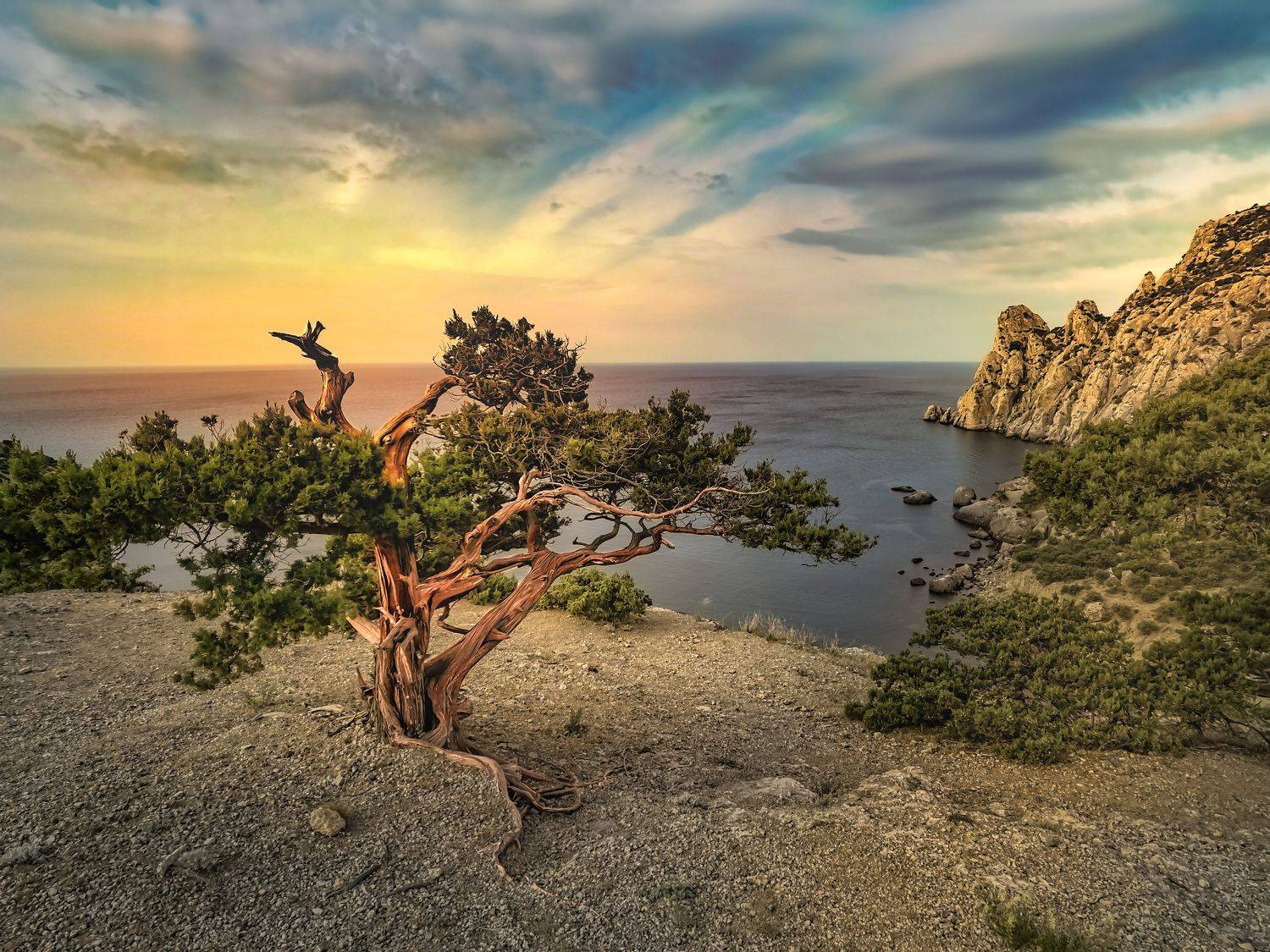 , Разумов Александр