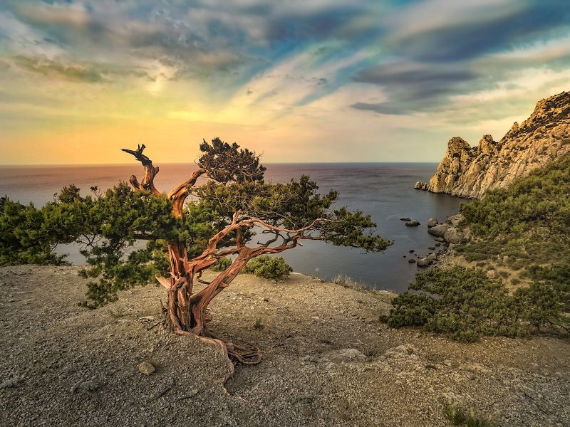 Крым и черное море фото превью