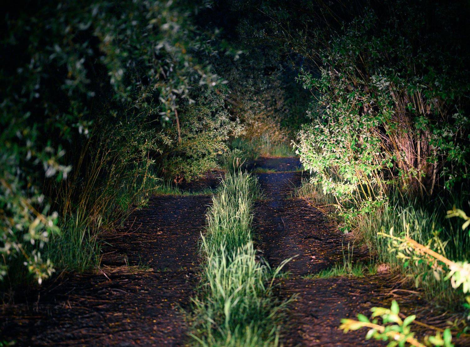 , Караваев Антон