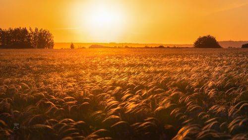 Жаркий закат