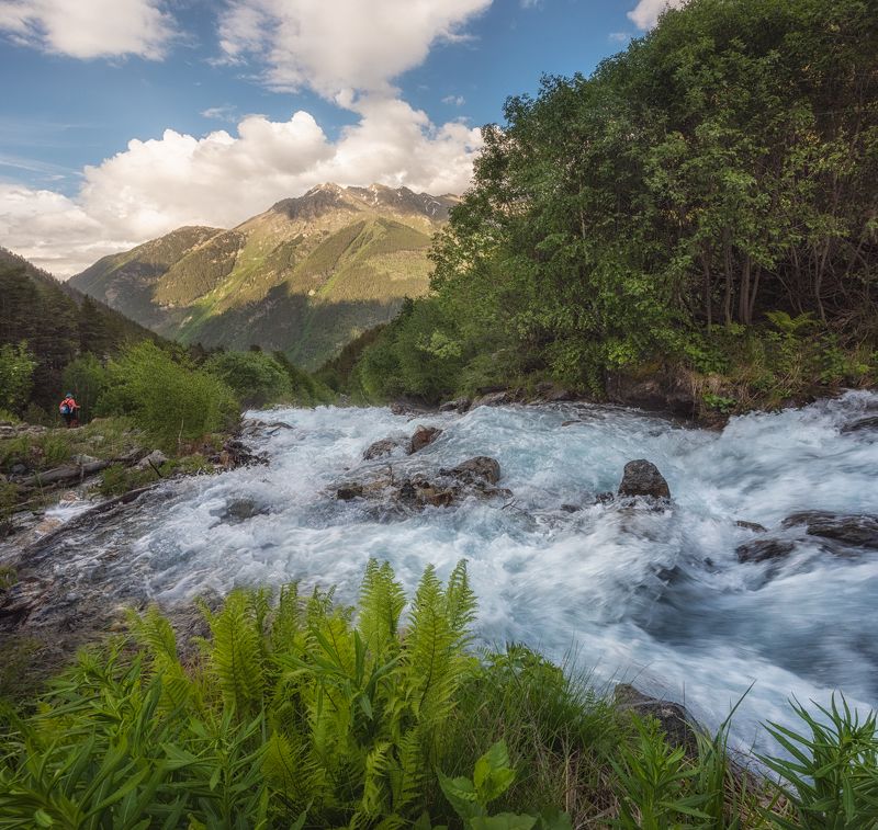 фото превью