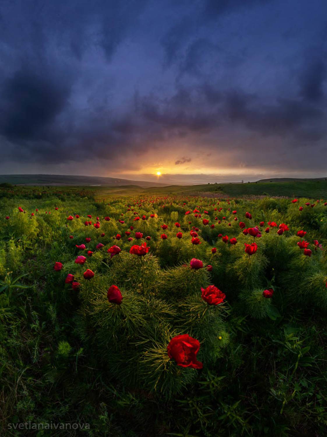 , Светлана Иванова