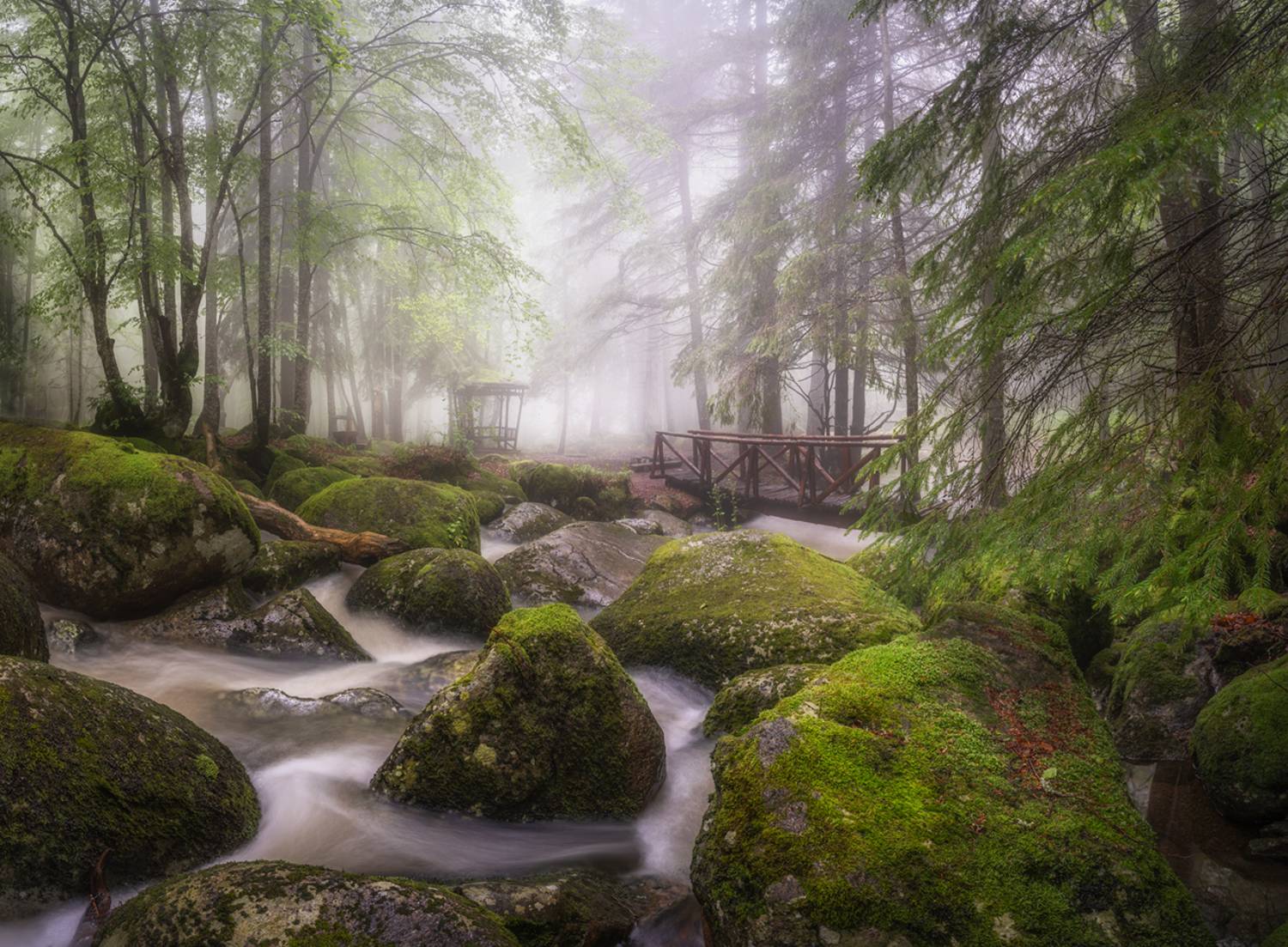 landscape, nature, scenery, forest, wood, mist, misty, fog, foggy, river, longexposure, mountain, rocks, vitosha, bulgaria, туман, лес, Александров Александър