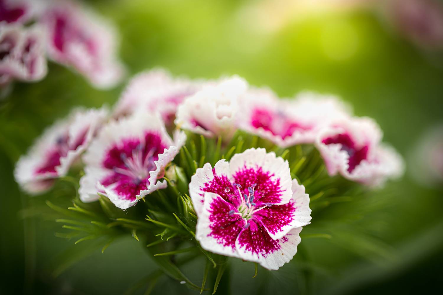 , Вячеслав Мельников