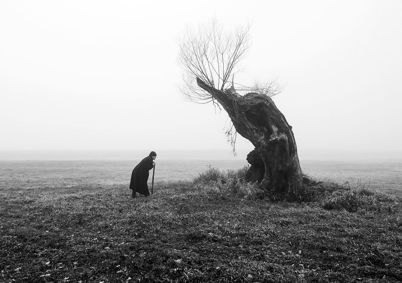 Weterani фото превью