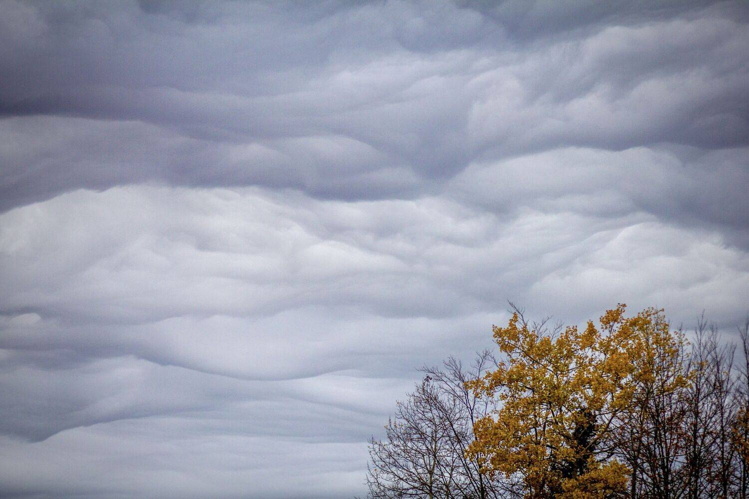 , Сергей Фаренюк