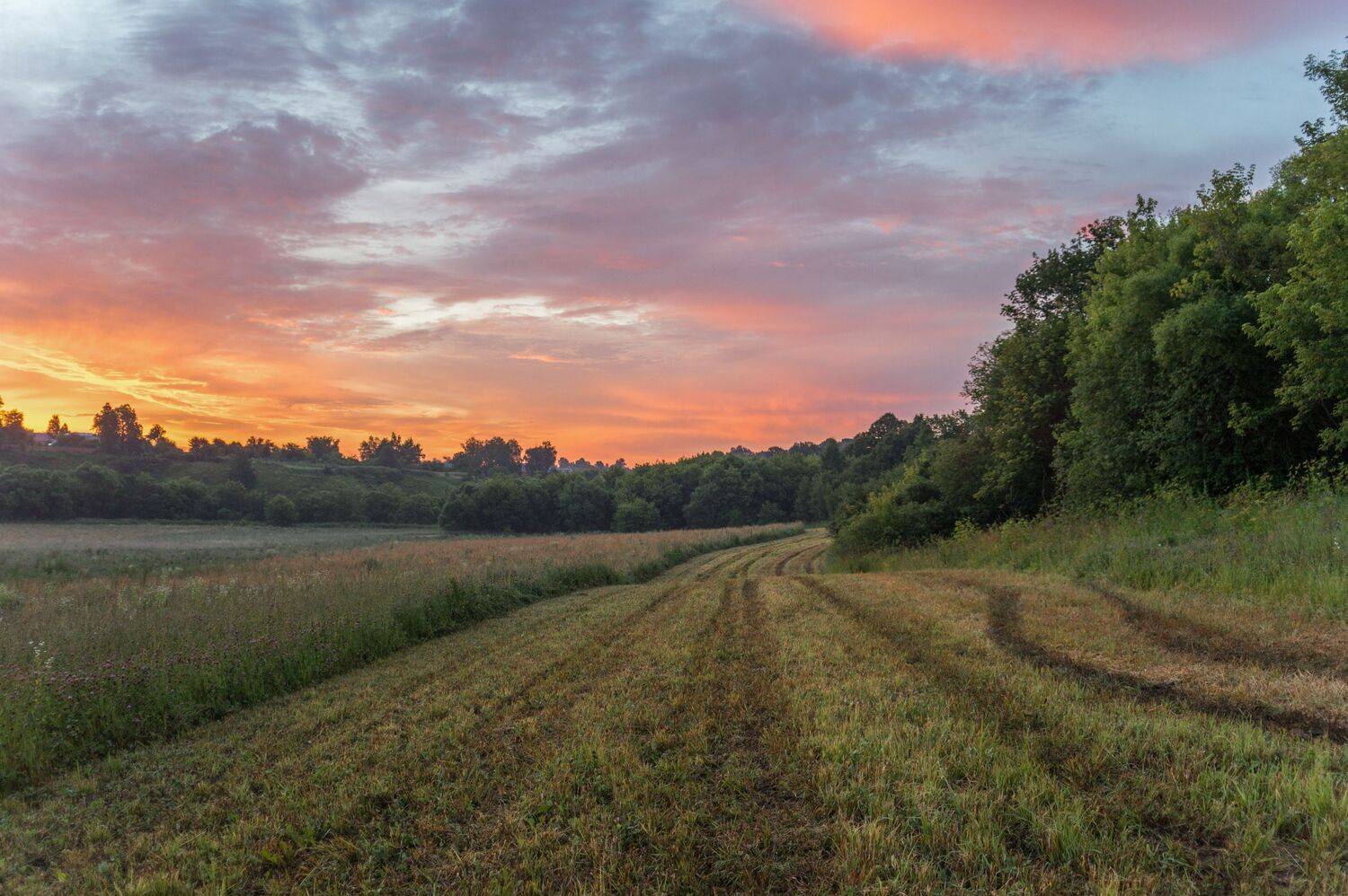 , Светлана Кондрашова