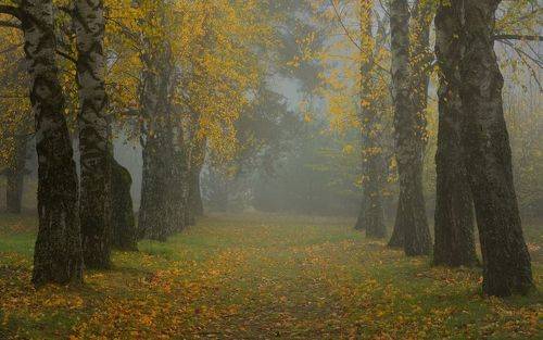 Осеннее утро