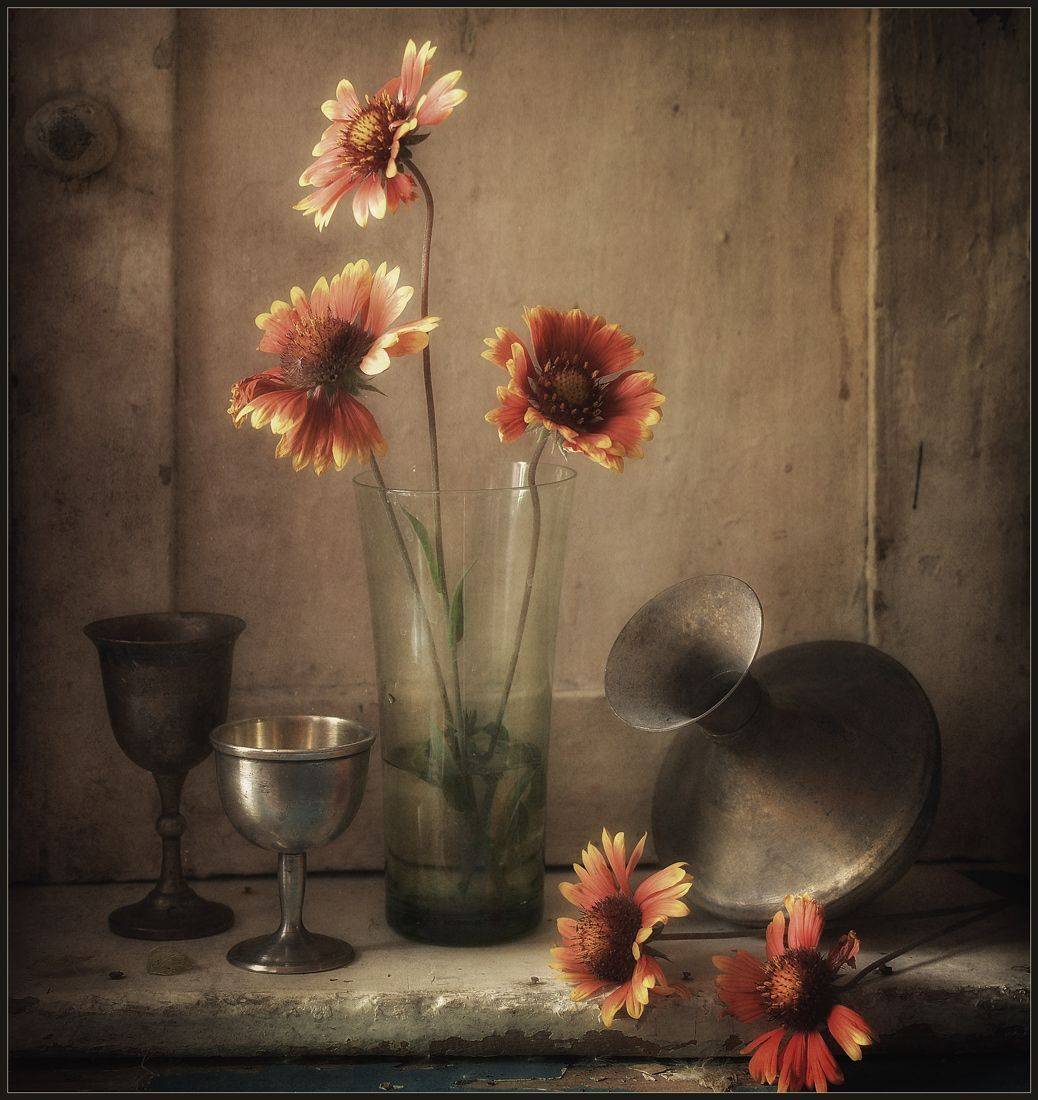 , Хромеев Александр