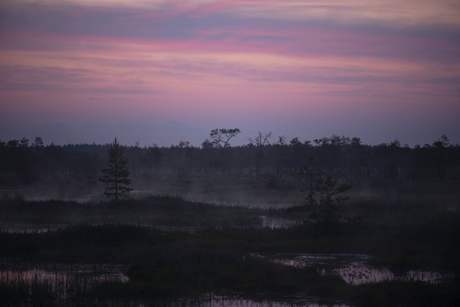 , Алёна Таланова