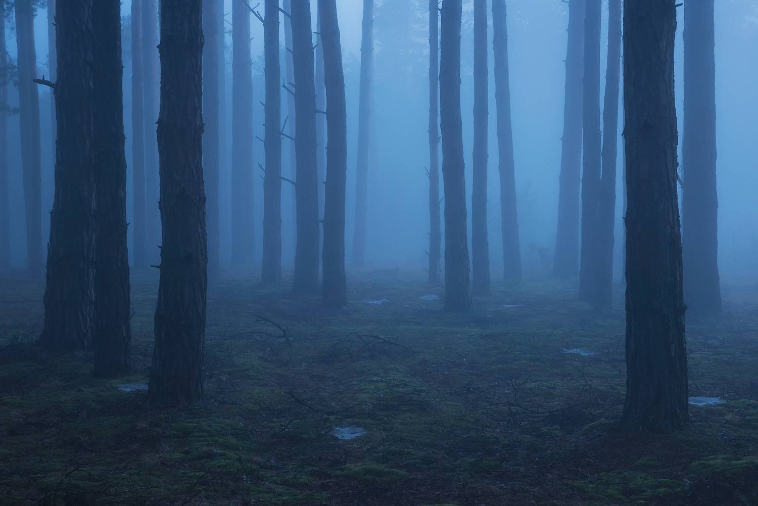 , Захаров Дмитрий