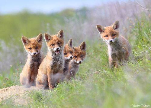 Гоп-стоп, мы подошли из-за угла