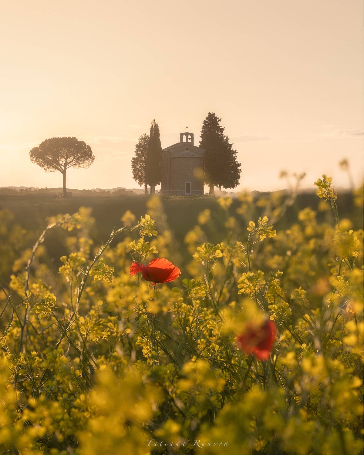 , Рунова Татьяна