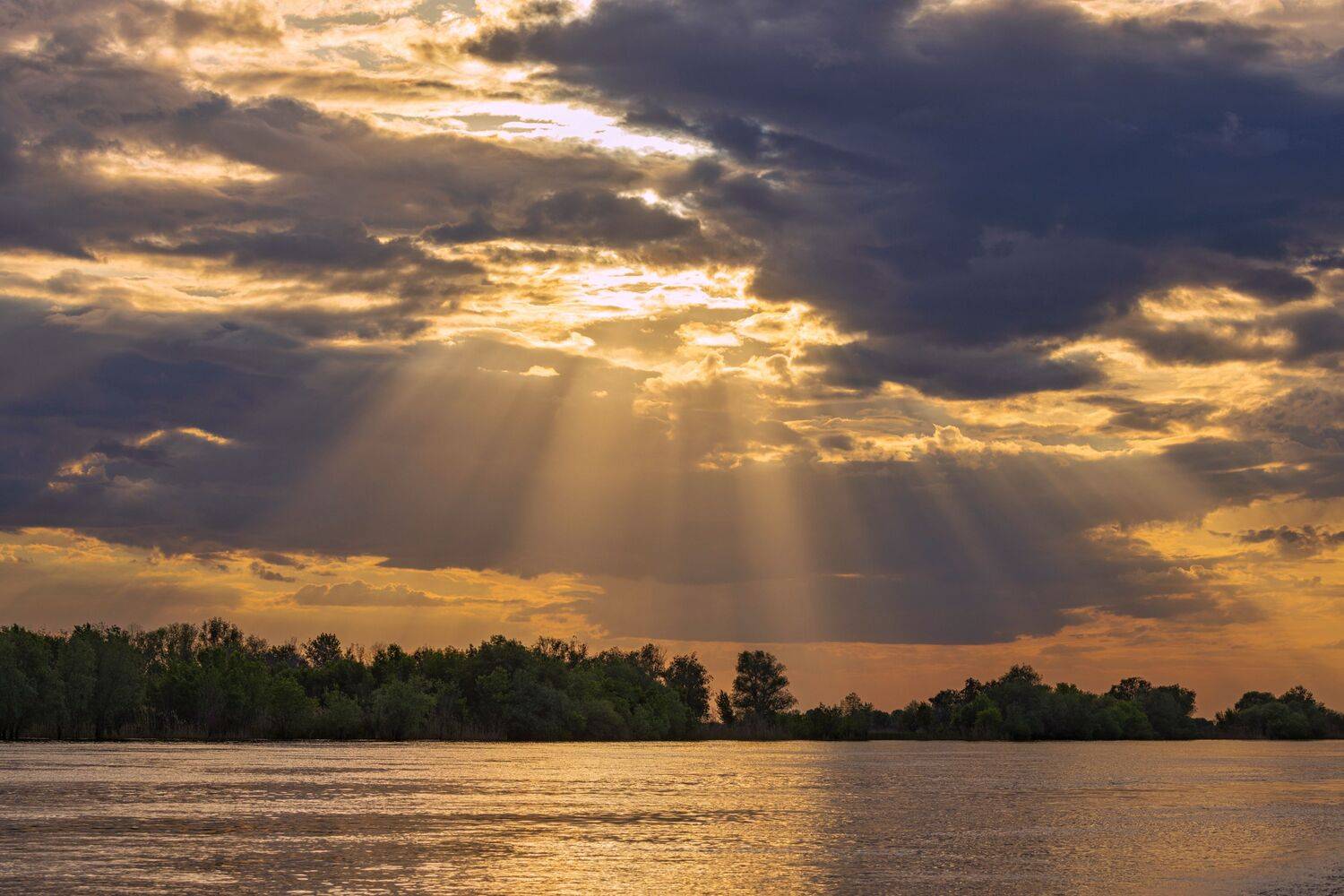 , Александр Шандов