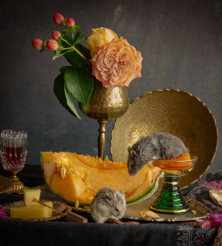 Хомяки фото превью