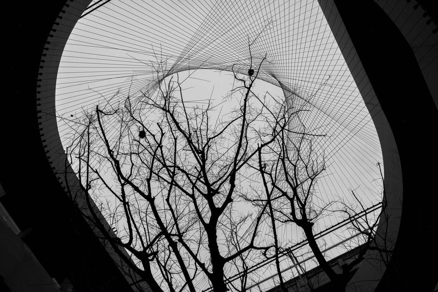 black and white photography, abandoned shopping mall atrium, urban decay photography, surreal architectural photography, unutilized commercial space, industrial aesthetic photography, haunting abandoned mall, atmospheric sky photography, monochrome urban, Druz Denys