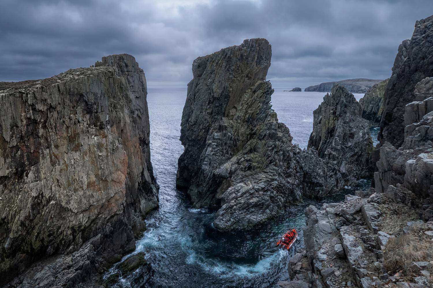 bonavista, newfoundland, boat, puffin, canada, Evgeny Chertov