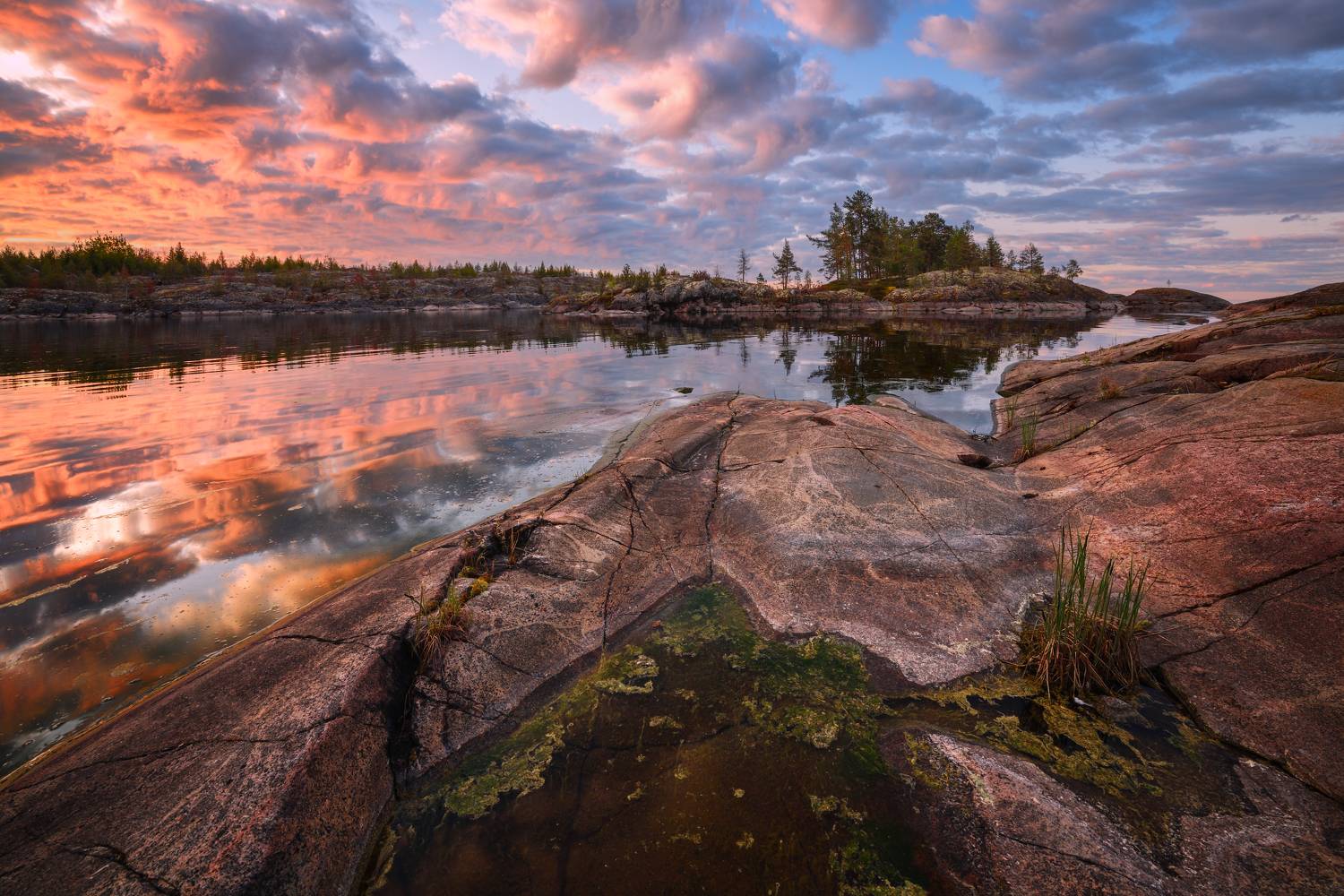 , Максим Евдокимов