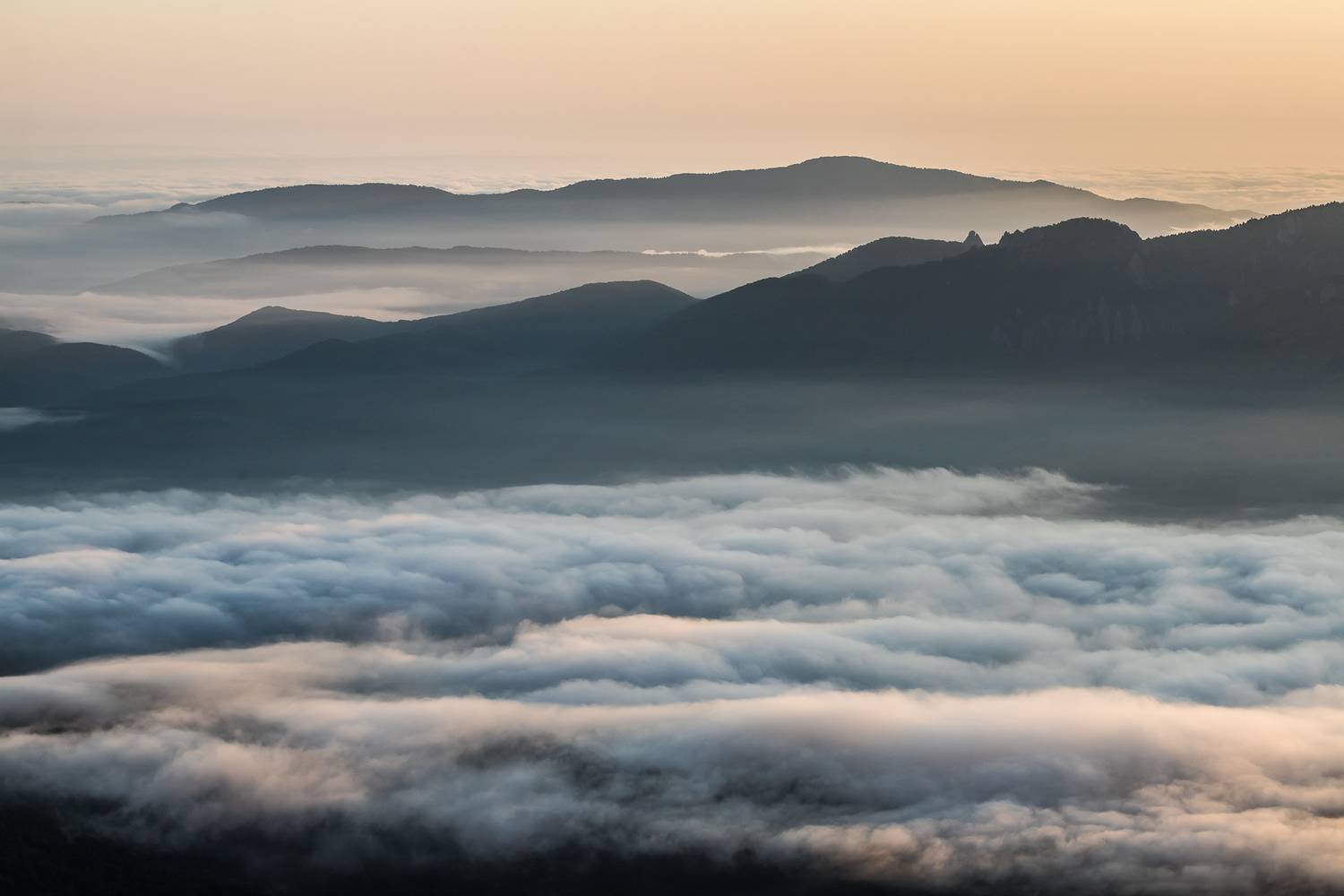 , Илья Михеев