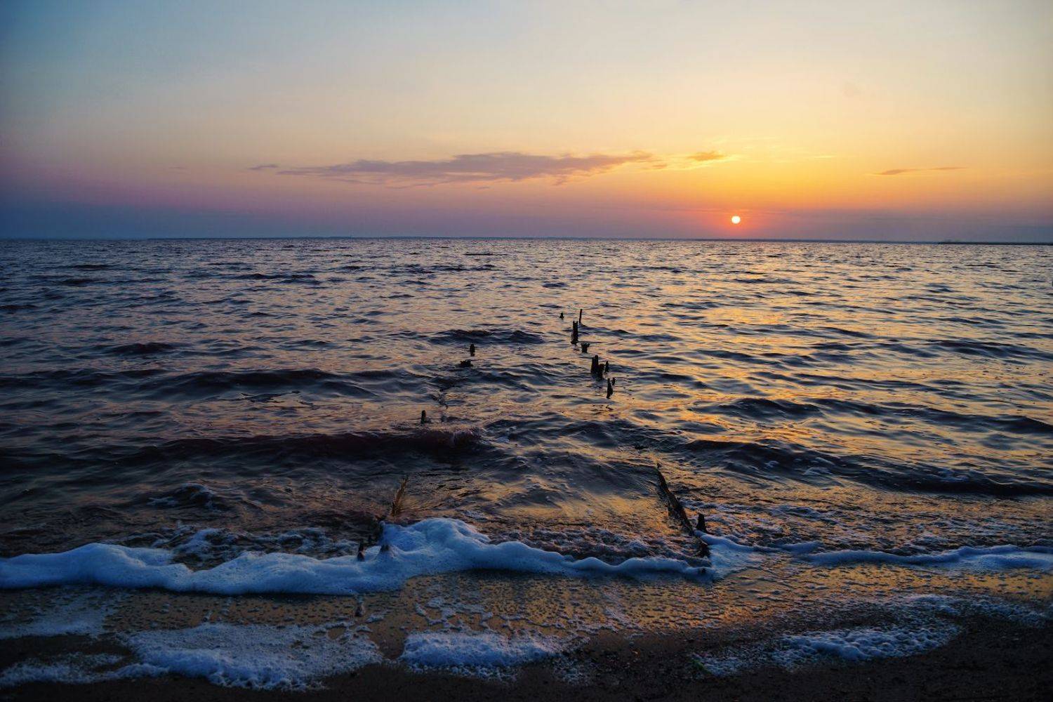 om zuiko 28/2, Дмитрий Цыпляев