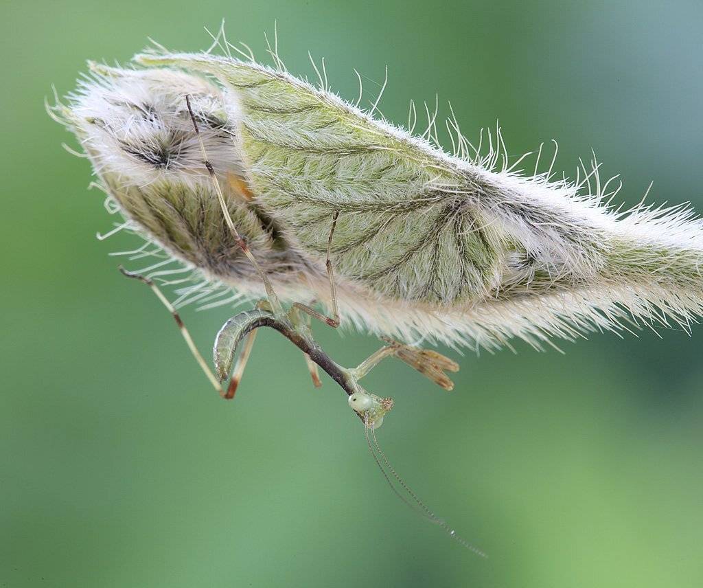 , Сергей Таланов