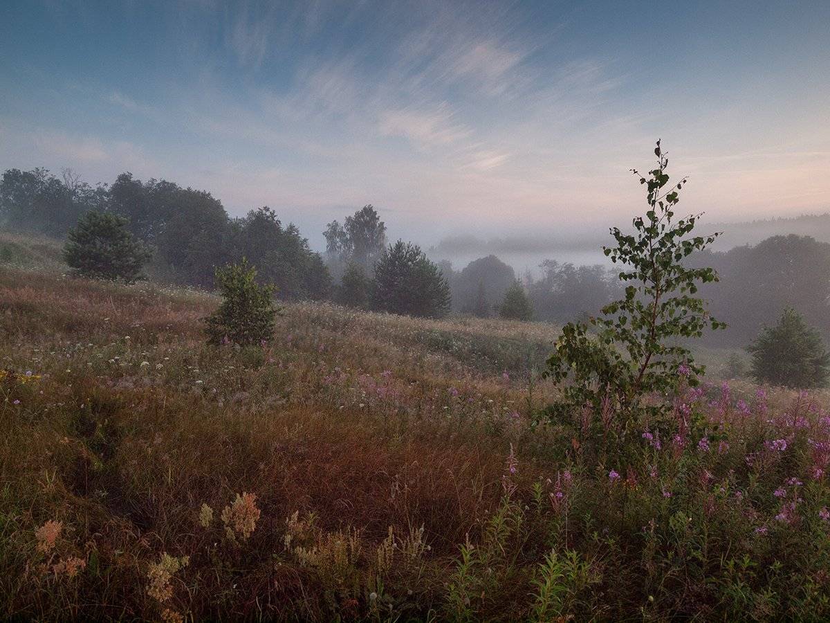 , Владимир Перепечаев