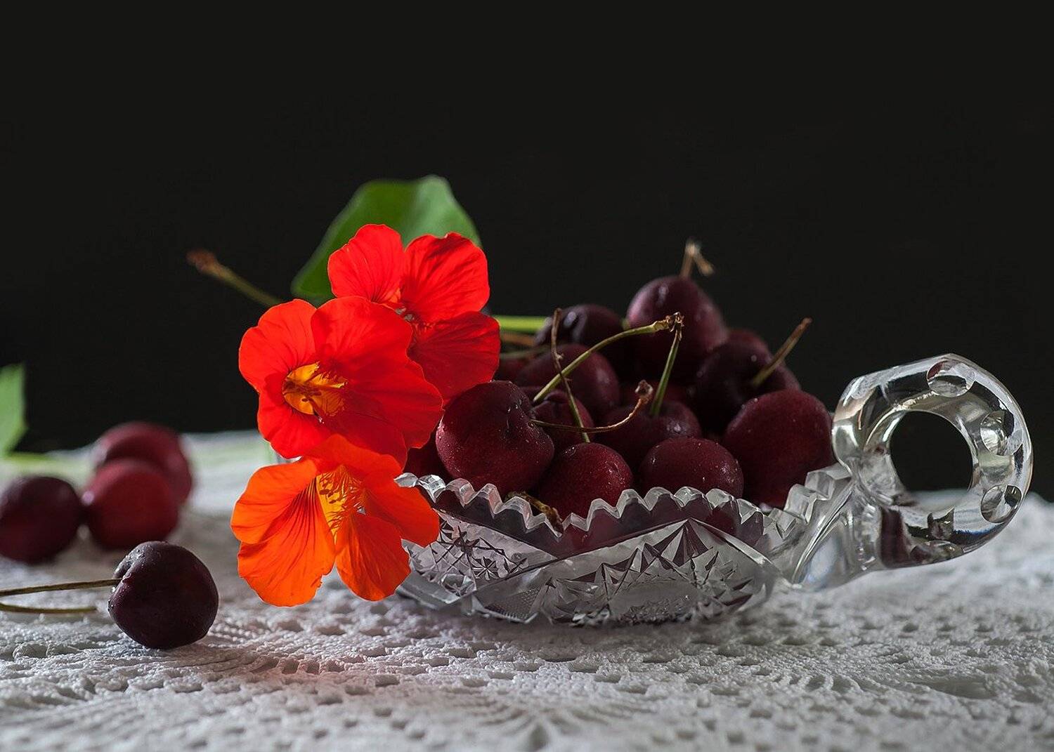 Натюрморт, Антонина