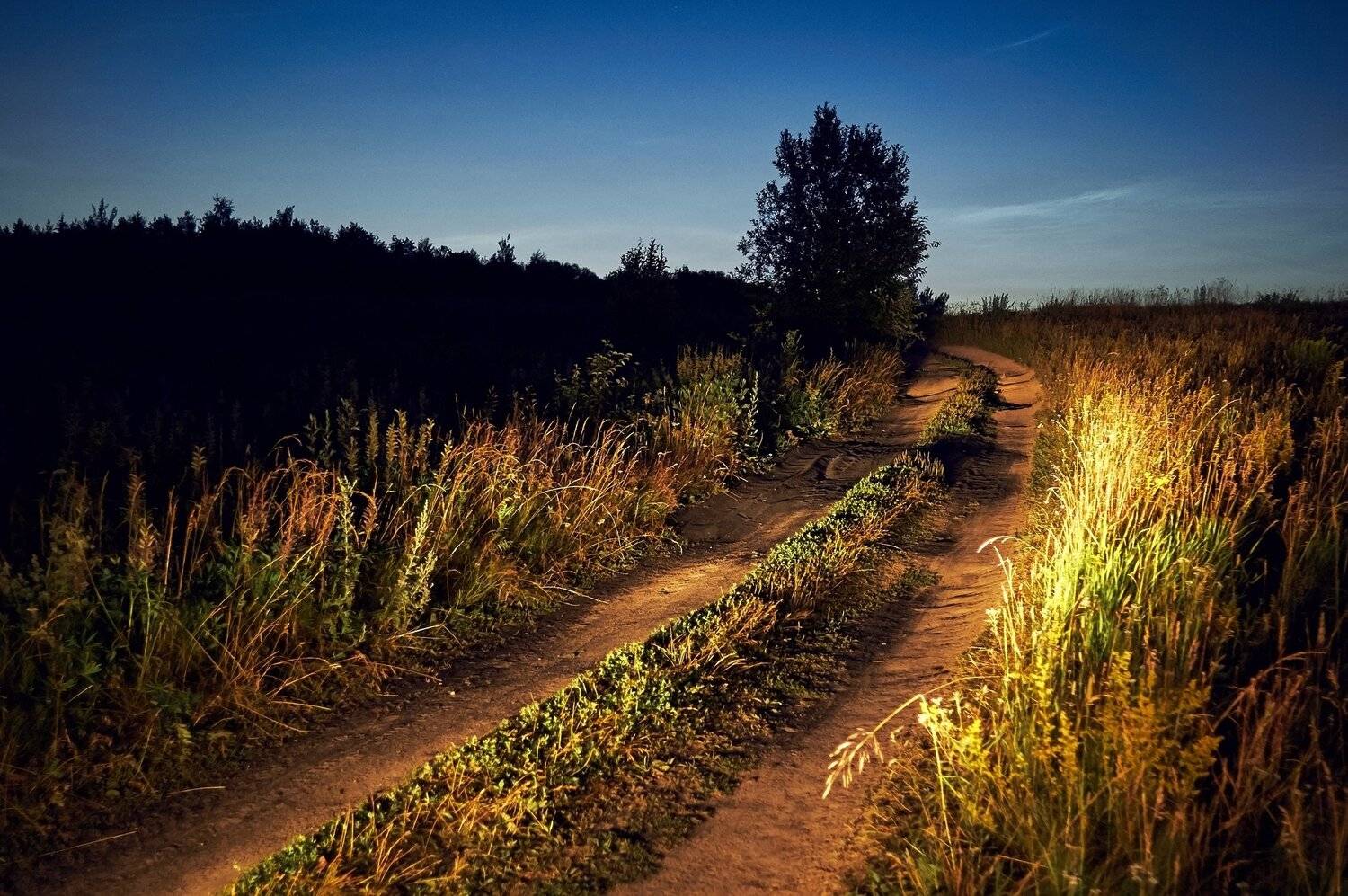 , Медведев Александр