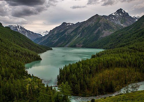 Кучерлинское