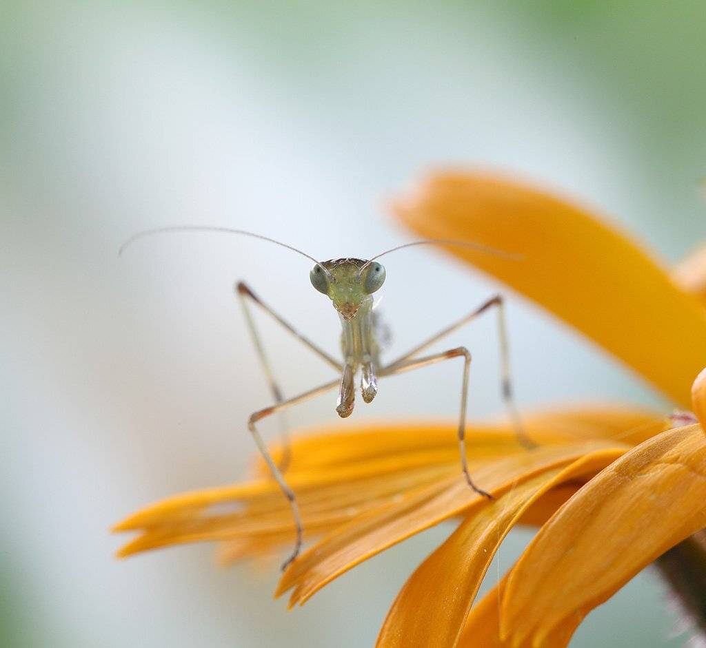 , Сергей Таланов