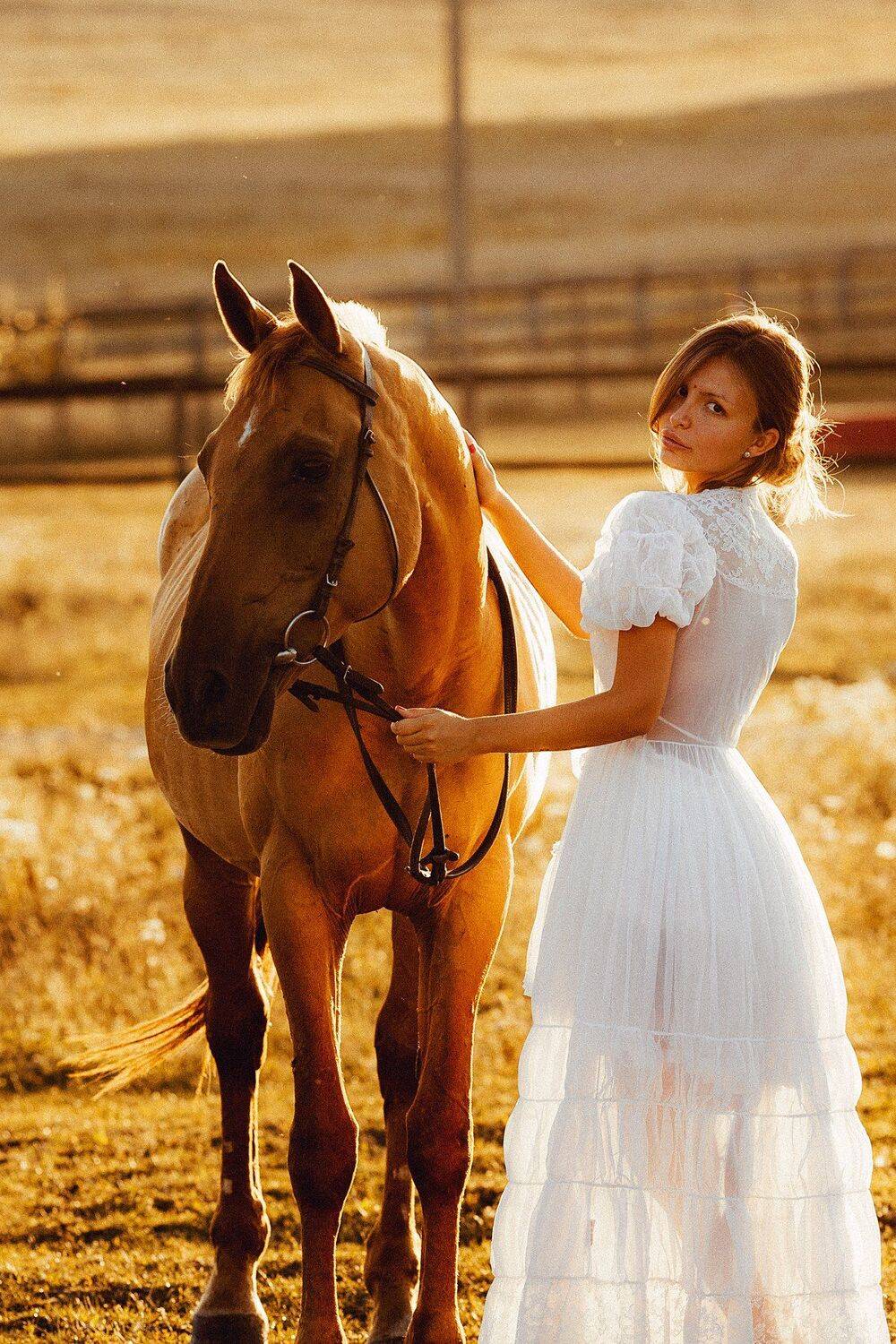 Лошадь фотография невеста, Семен Евлантьев