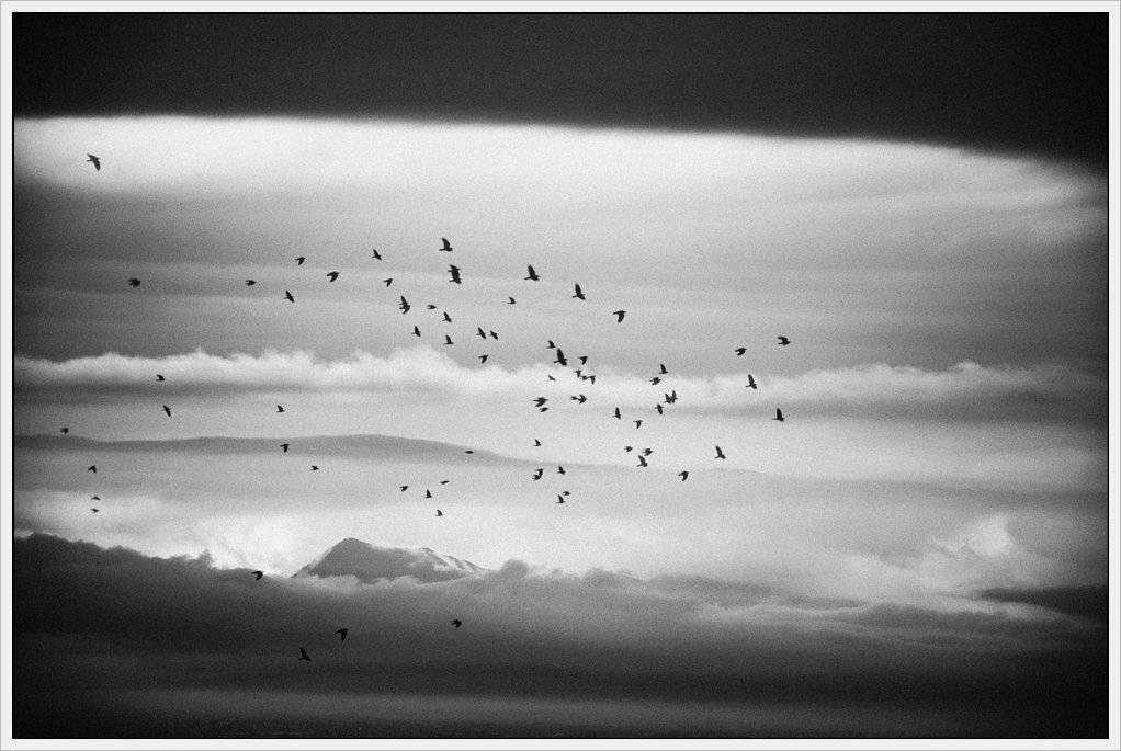 , Krzysztof Trojanowski