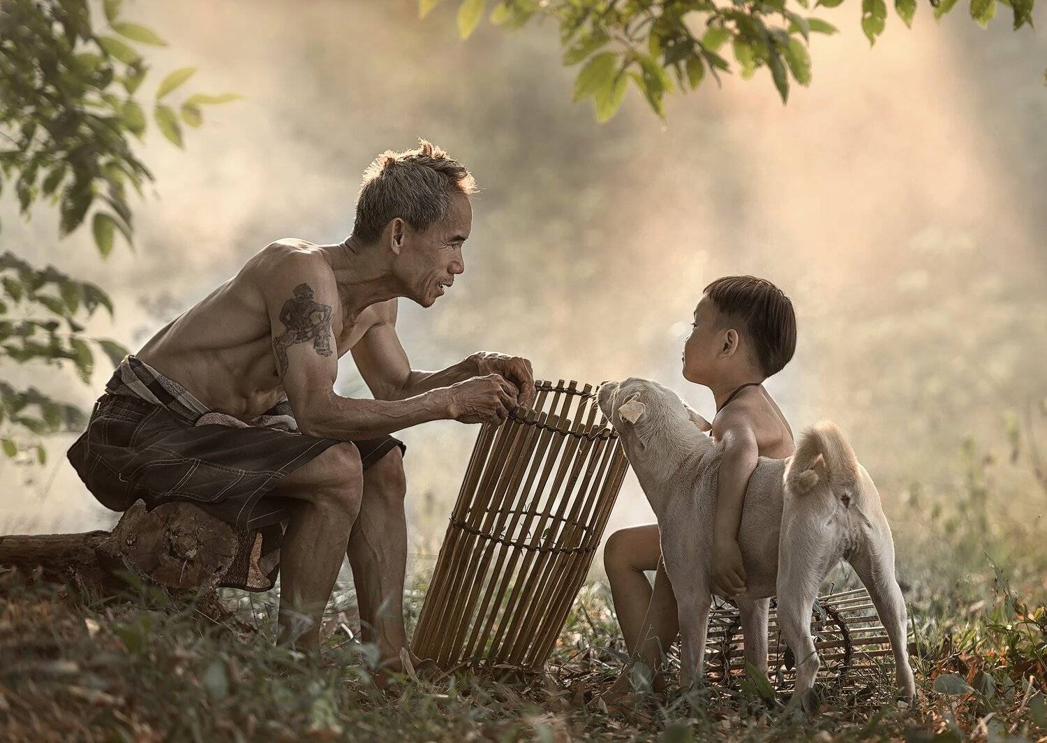 Thai, Thailand, children, dog, fathe,r love, agriculture, asia ,asian ,country, countrys,ide, cultivation, family, farm, farmer, farming, field, food, grass, green, happy, harvest, harvesting, nature, outdoor, people, person, plant, plantation, poor, sarawut intarob
