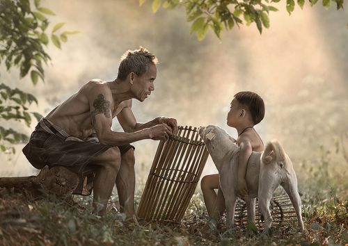 Father's Love