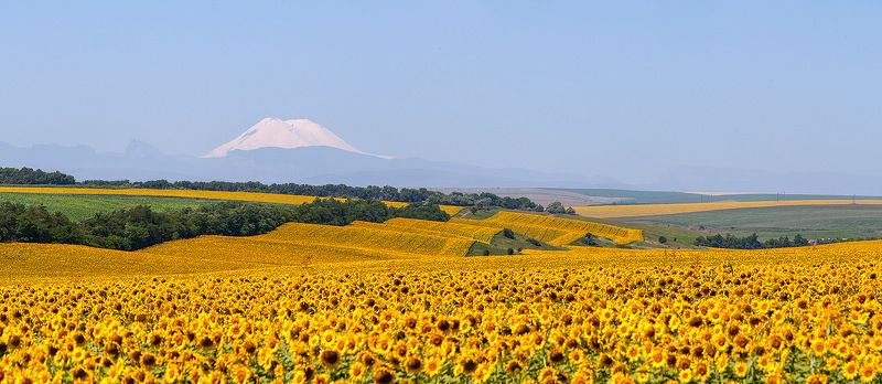 эльбрус, кавказ, sunflower подсолнечная страна фото превью