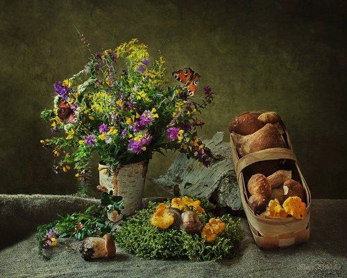 Грибная пора