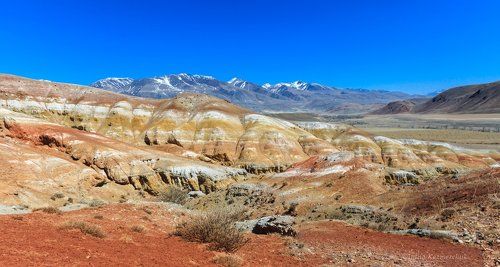 Марсианские хроники
