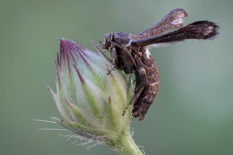 /+/+/+/ фото превью