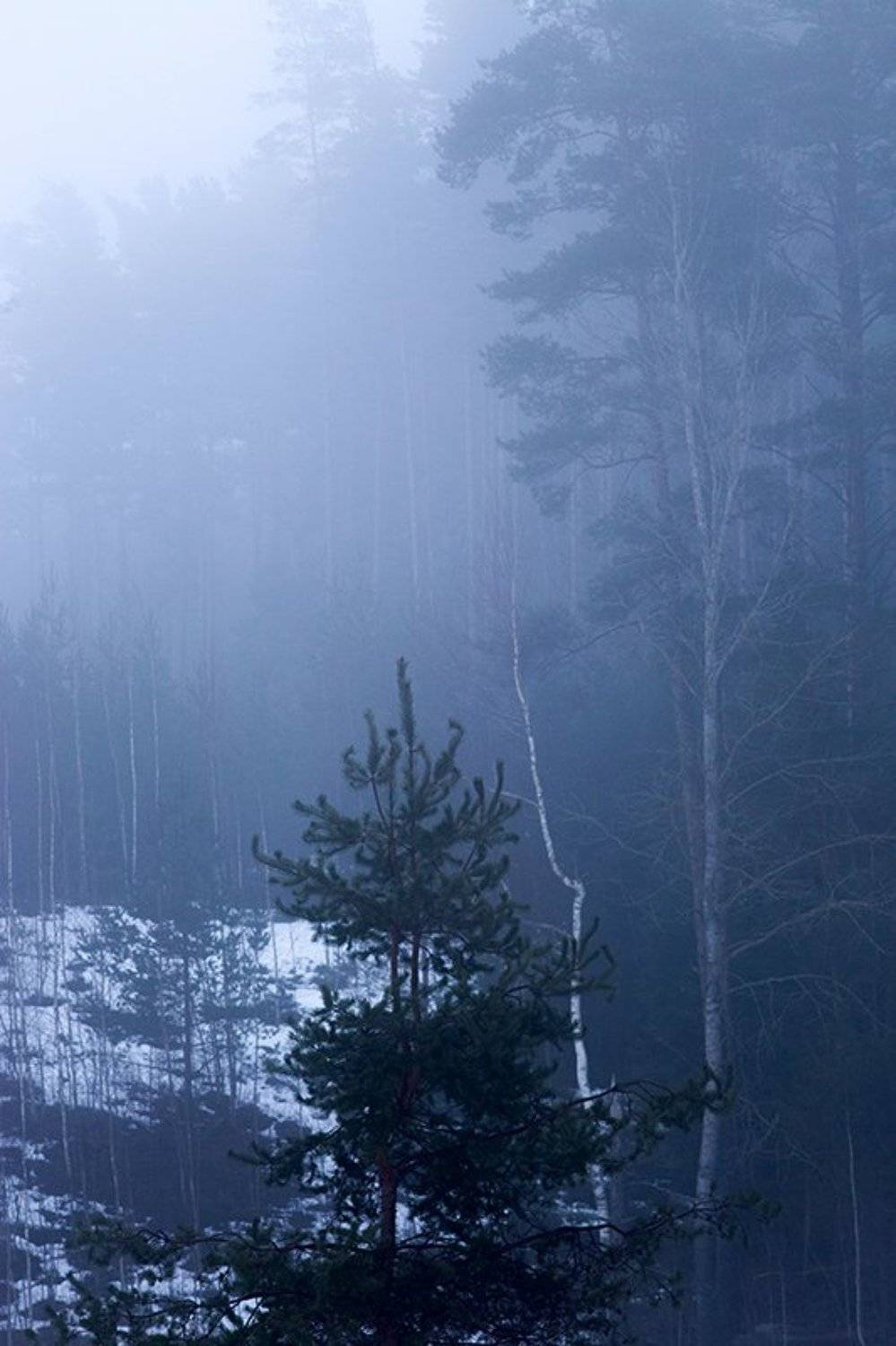 , Анна Кудрявцева