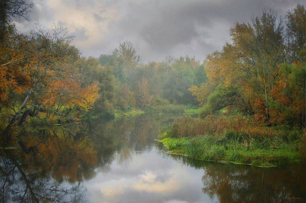 , Роман Красов