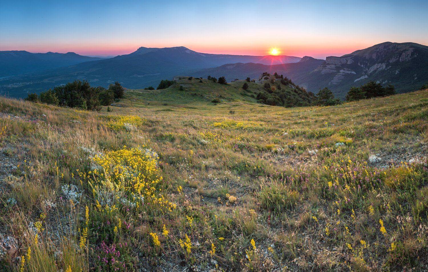 , Станислав Савицкий