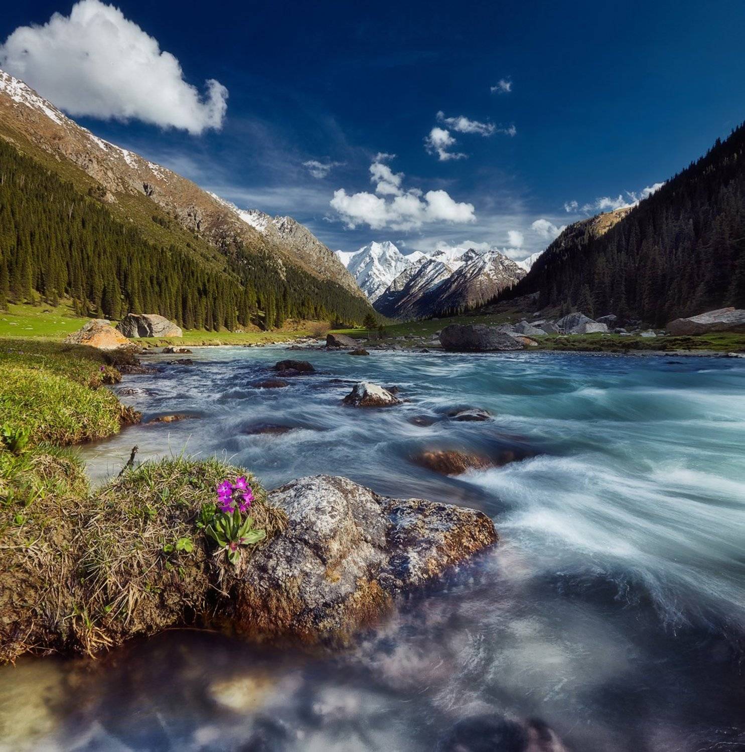 киргизия, ущелье, Сутковой Сергей