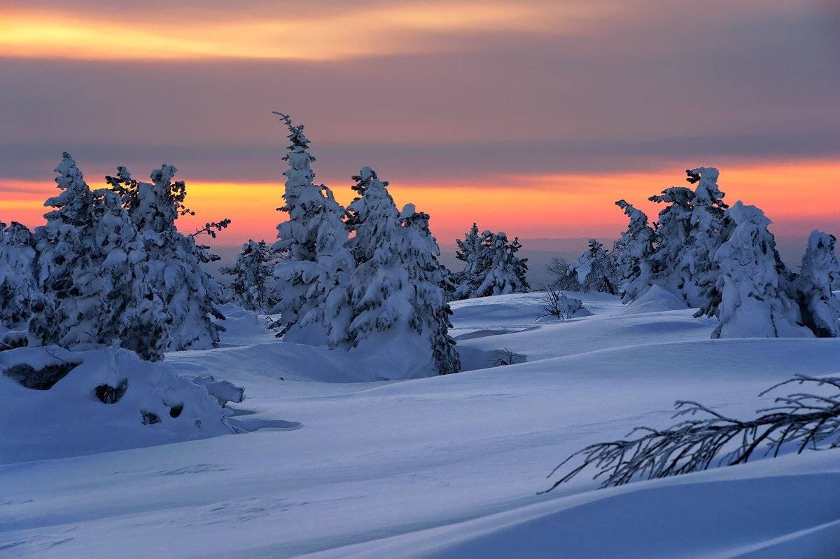 Вечер, Зима, Кедры, Пихты, Сибирь, Снег, Сугробы, Шерегеш, Валерий Пешков