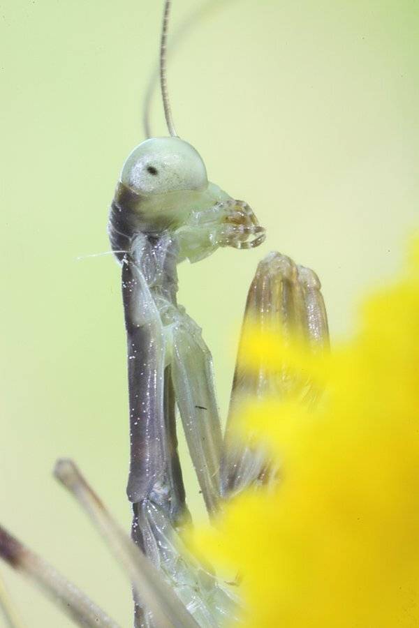 , Сергей Таланов