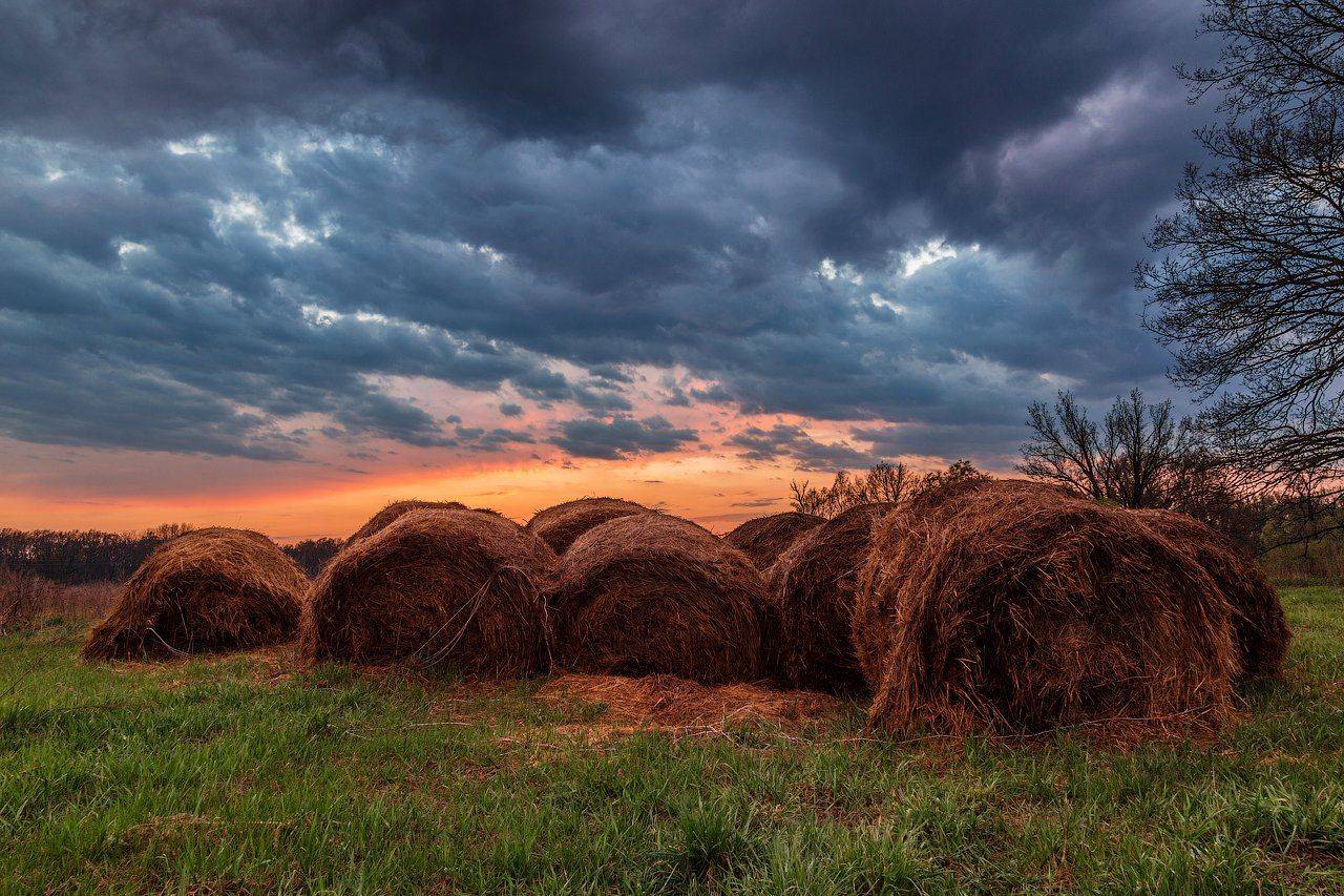 Закат, Марусино, Моршанск, Моршанский район, Сено, Стог, Сергей Вьюнов