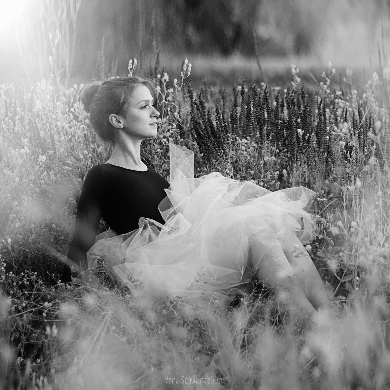 балерина, поле, цветы, девушка, лето, Шварцбург Верочка