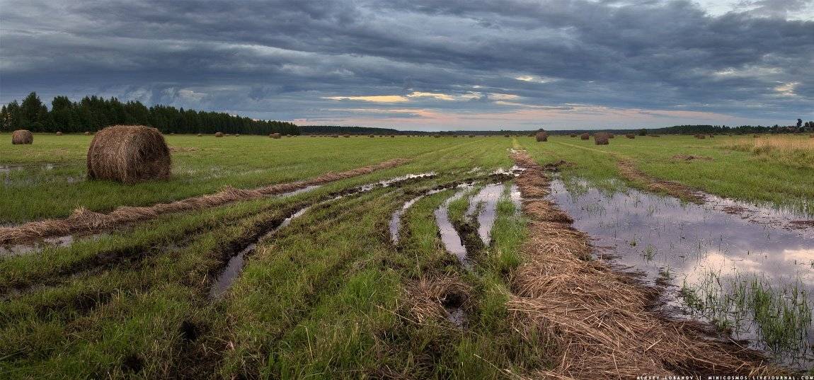 Уборочная, Ярославская область, Алексей Лобанов