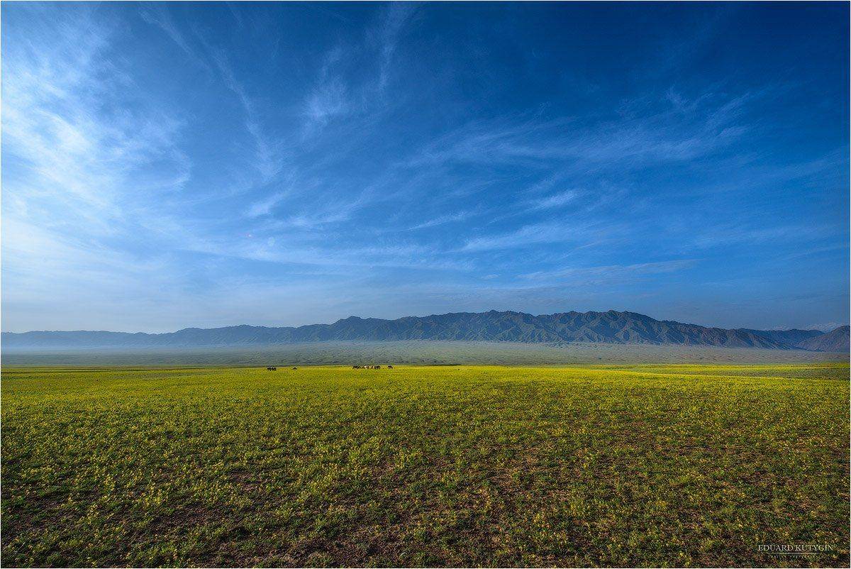 , Кутыгин Эдуард