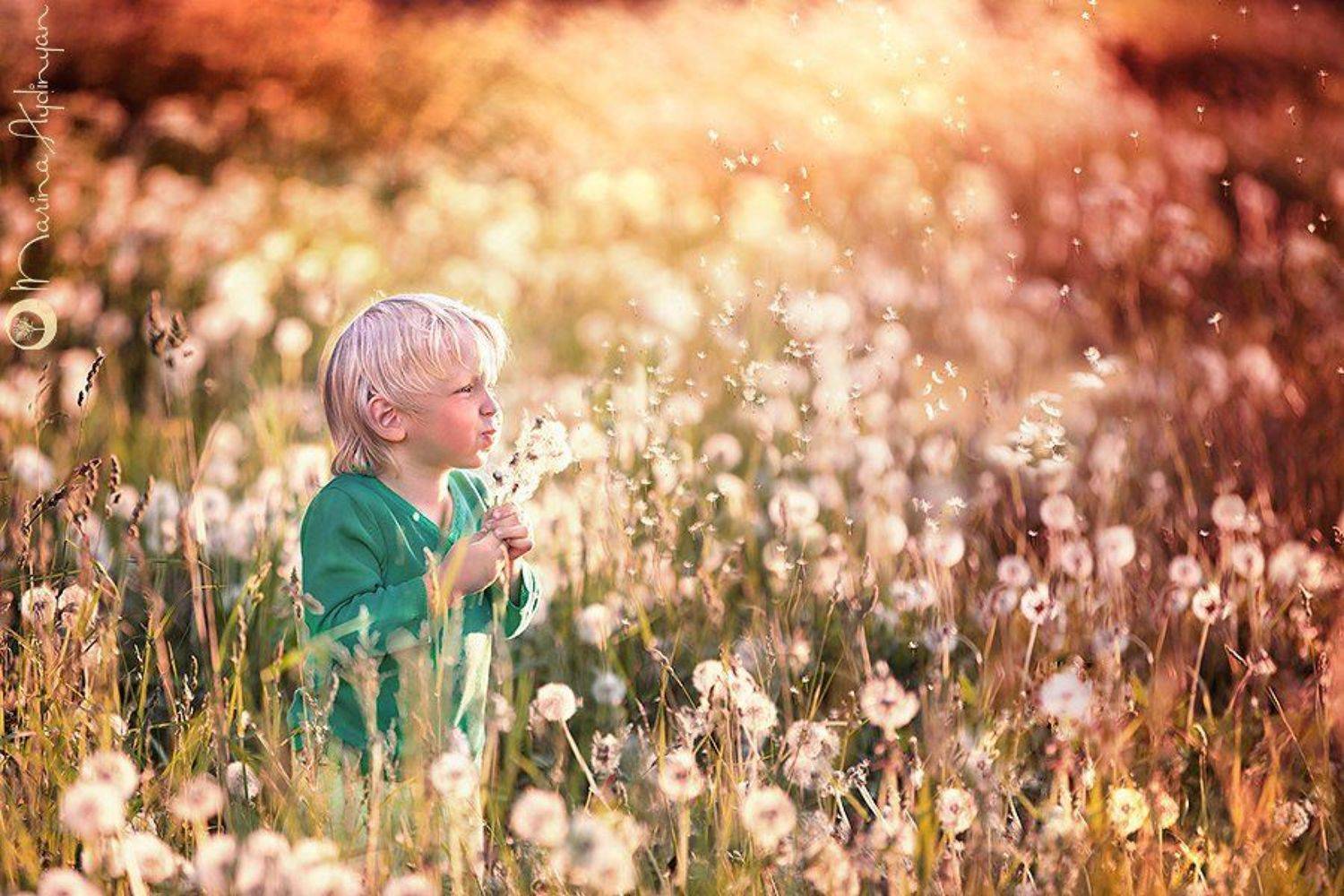 Дети, Детский портрет, Детство, Лето, Одуванчики, Марина Айдинян