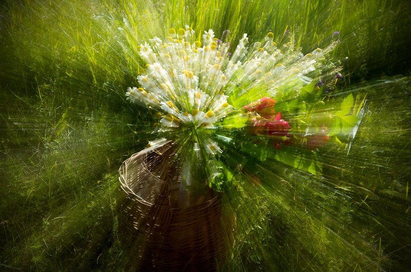 фото превью